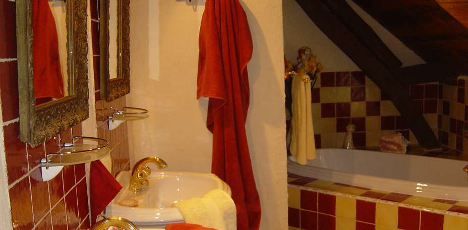 Manoir des Forges - Saint Brice - 