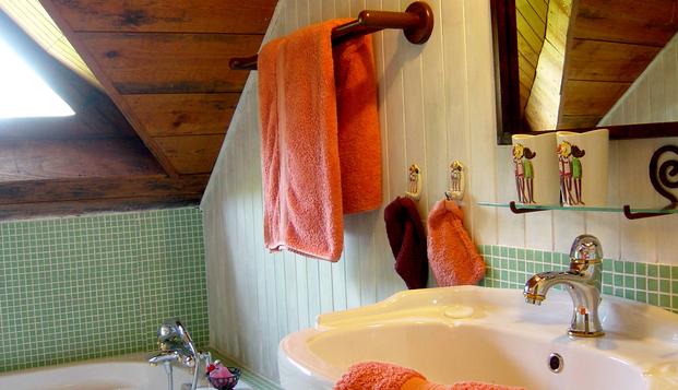 hotel Manoir des Forges - Saint BriceSaint Brice (53)