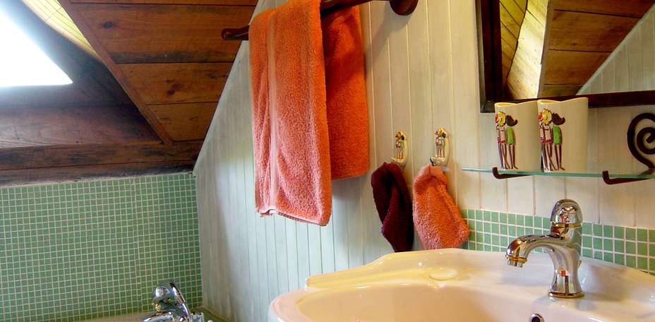 Manoir des Forges - Saint Brice - 