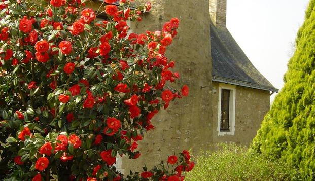 hotel Manoir des Forges - Saint BriceSaint Brice (53)