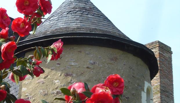 hotel Manoir des Forges - Saint BriceSaint Brice (53)