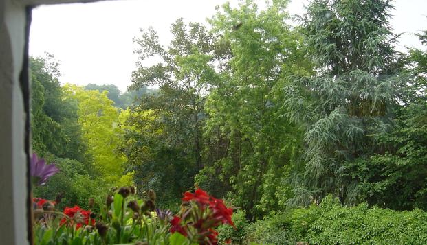 hotel Manoir des Forges - Saint BriceSaint Brice (53)
