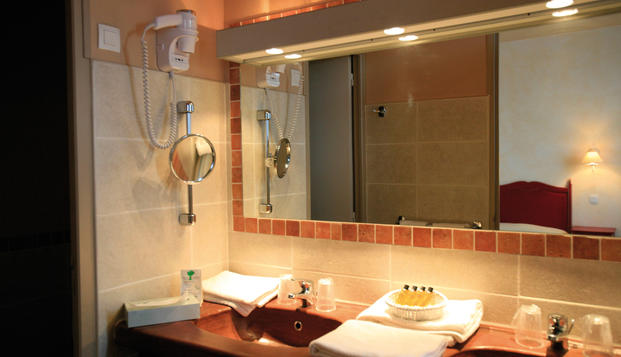 hotel Les Vignes BlanchesBeaucaire (30)