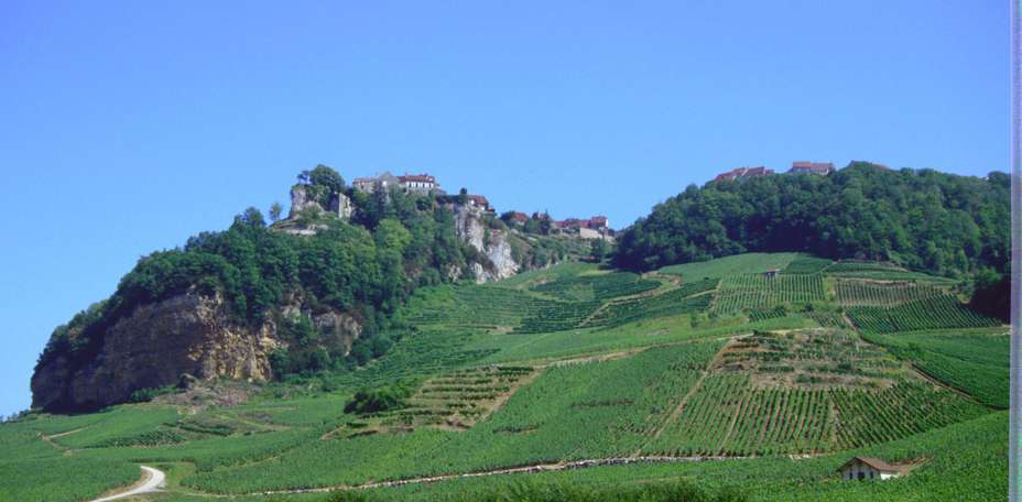 Domaine du Revermont  - Paysage