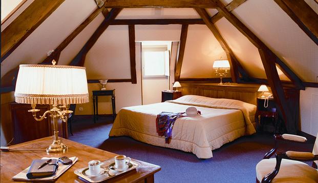 hotel Domaine & Golf du RoncemayAillant-sur-Tholon