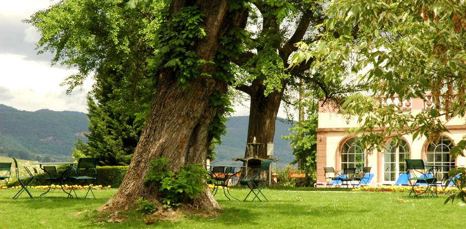 Château d'Isenbourg  - 