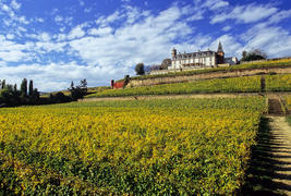 Château d'Isenbourg  - 