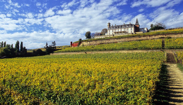 hotel Château d'Isenbourg Rouffach (68)