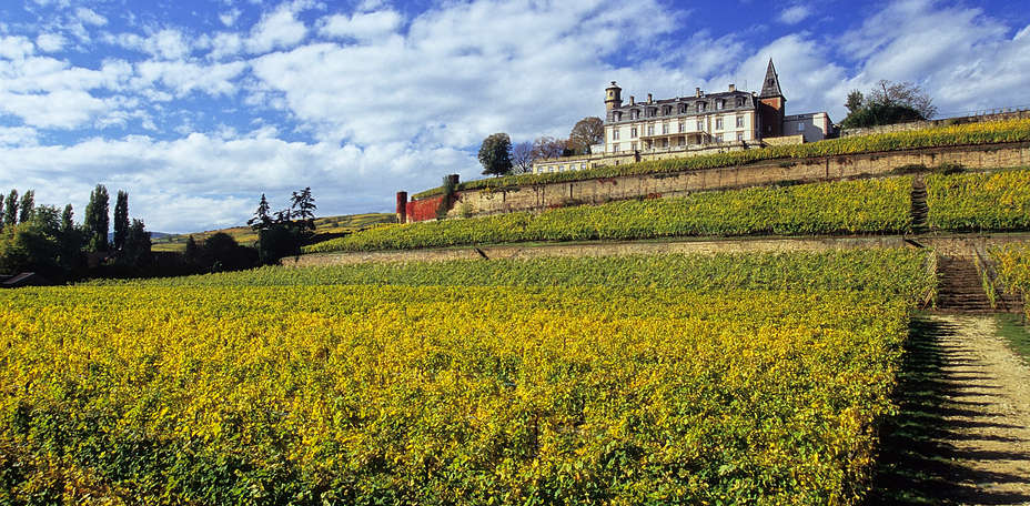 Château d'Isenbourg  - 