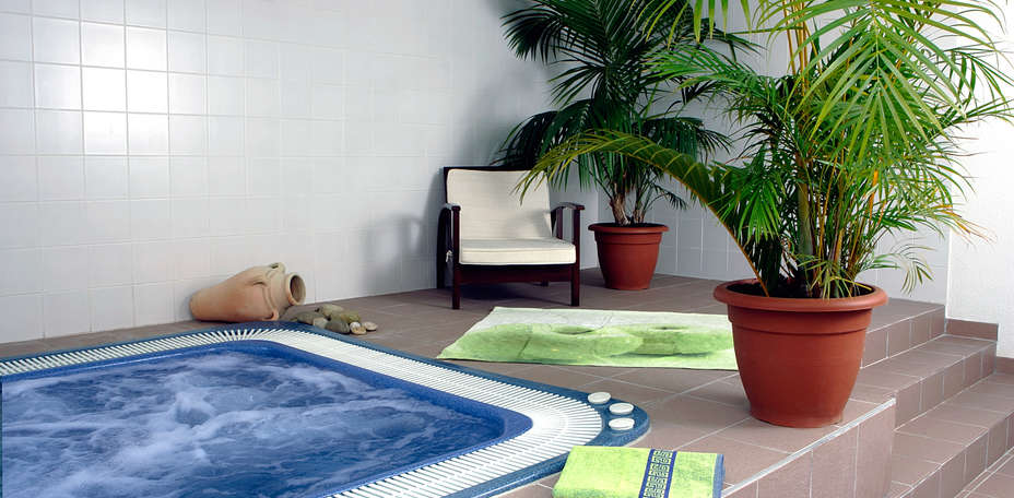 Adonis Carcassonne - La Barbacane - 
