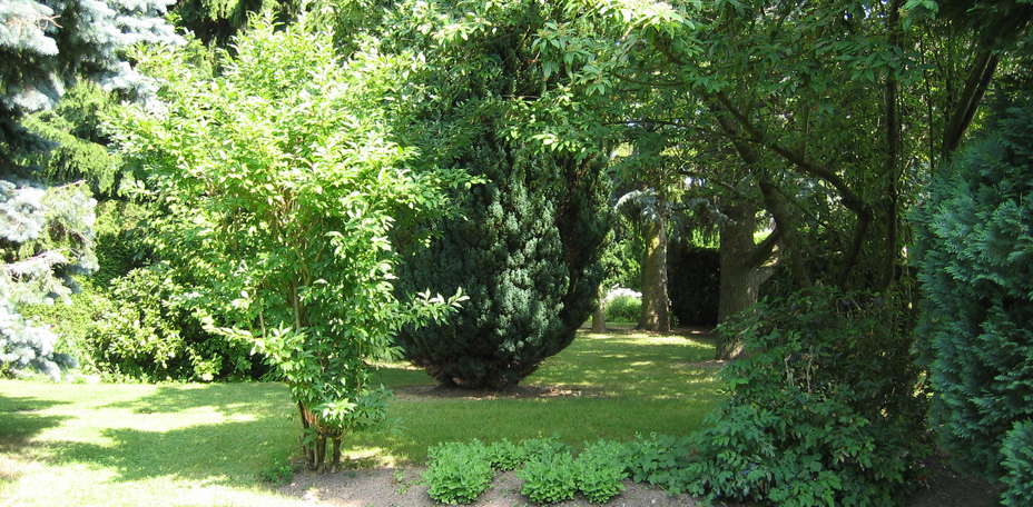Hostellerie Belle Vue  - Jardins, parc