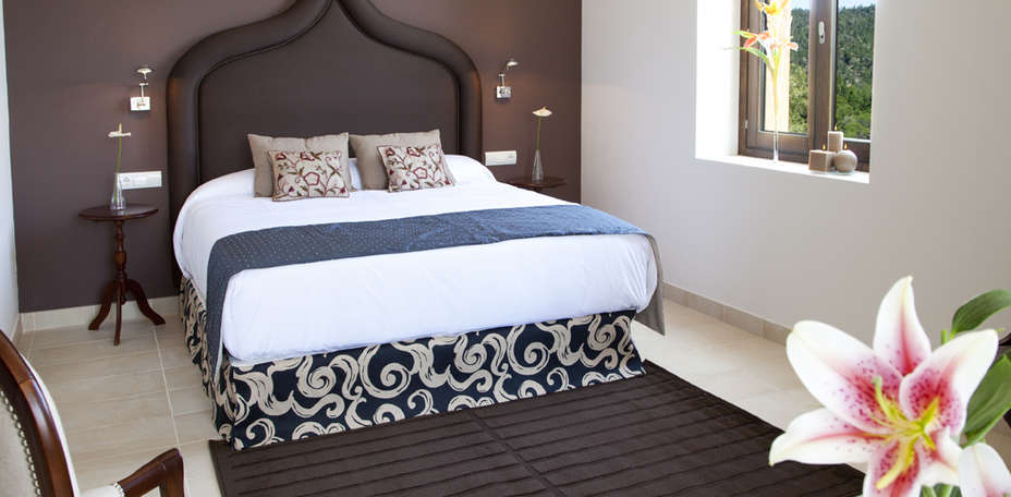 Sant Pere del Bosc hotel & spa - Chambre standard