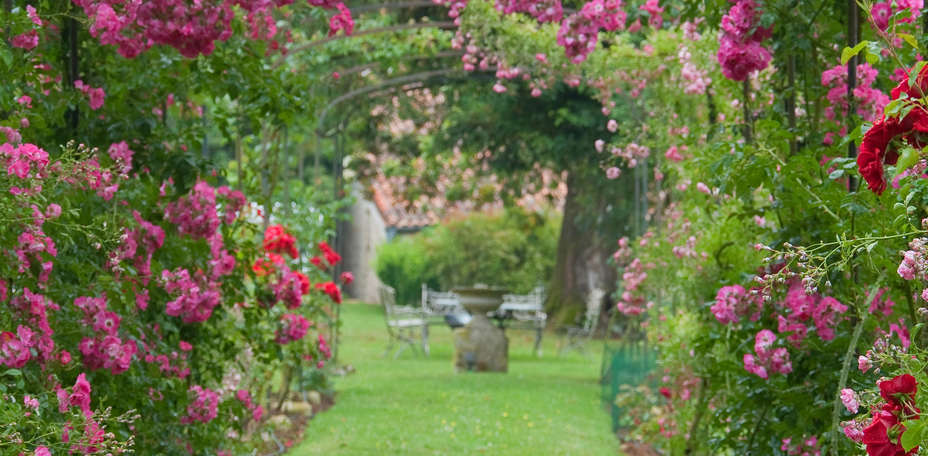 Le Relais du Bois Saint Georges - 