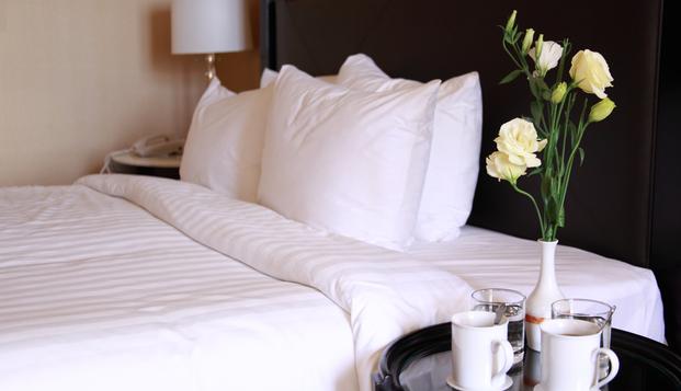 hotel Cela Toulouse Constellation Saint Martin du Touch (31)