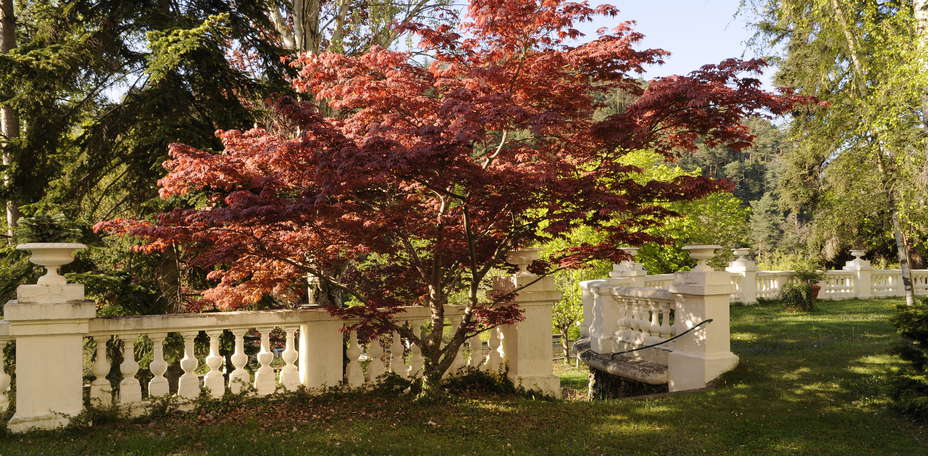 Hôtel Le Splendid - 