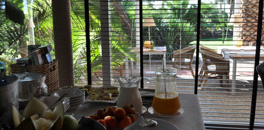 Hotel Tancat de Codorniu - Jardins, parc
