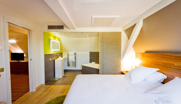 hotel La Villa K et SpaMulhouse (68)