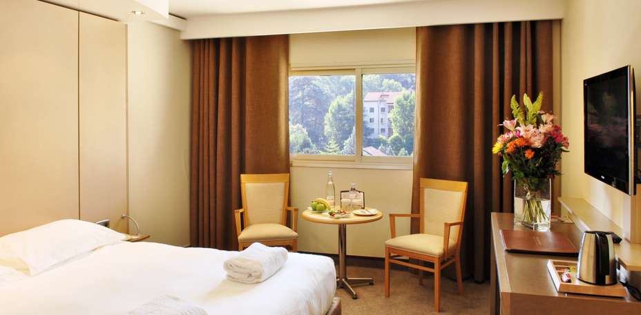 Hôtel Lyon Métropole & Spa - 