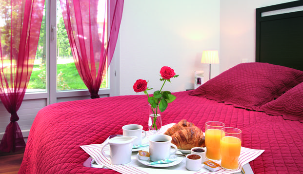 hotel Park and Suites Village Saint SimonToulouse (31)