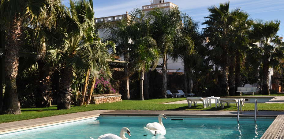 Hotel Tancat de Codorniu - 
