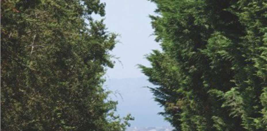 Andris Hotel - 