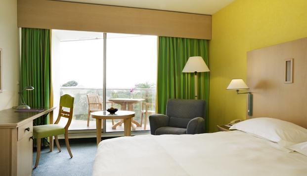 hotel Novotel Cannes MontfleuryCannes (06)