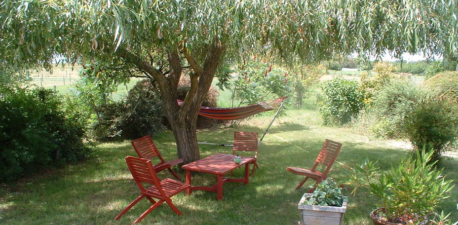 De la Toque à l'Ane  - 
