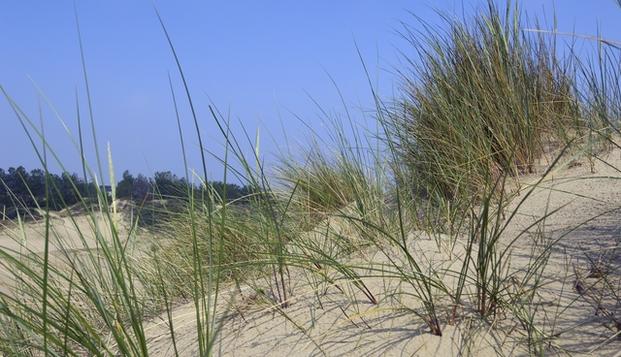 hotel Domein WesthoekOostduinkerke