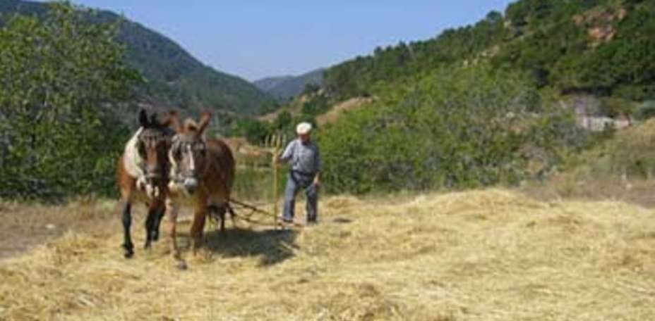 Hostal El Mirador - 