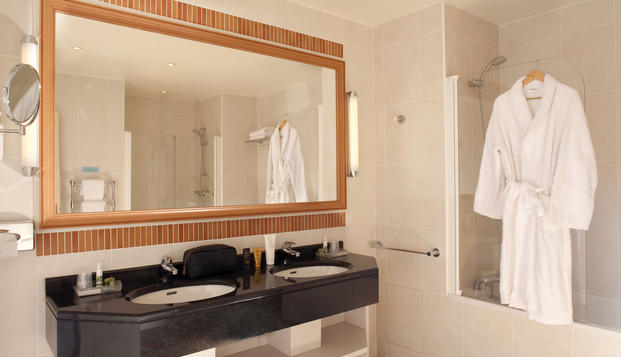 hotel Le Domaine des RochesBriare (45)