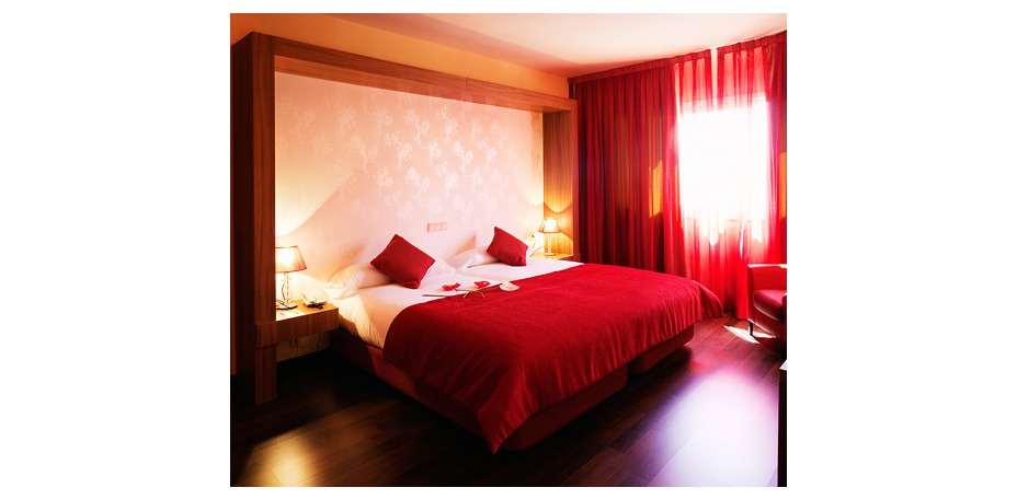 Hotel Puerta de Segovia - 