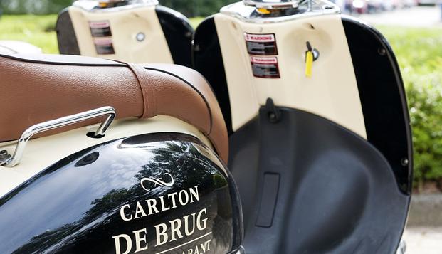 hotel Carlton De BrugMierlo