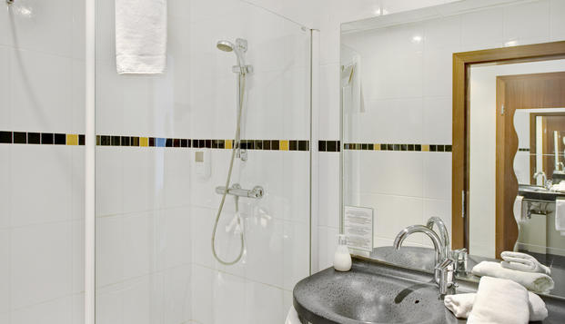 hotel Hôtel L'Ours de MutzigMolsheim