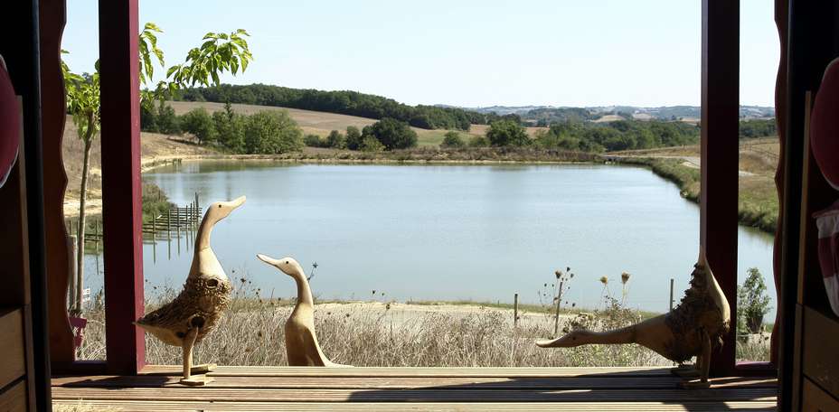 Domaine d'Escapa - 