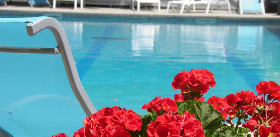 Hôtel Le Splendid - 