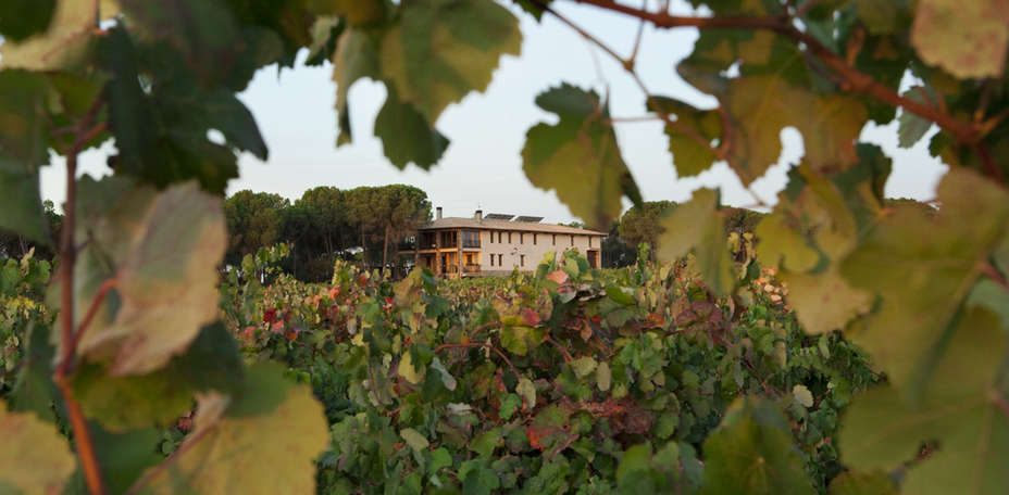 Hotel Casa Quintana - Vitis Natura - 