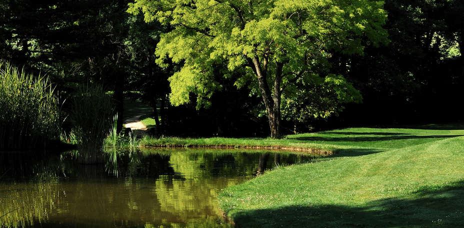 Domaine de Divonne  - Paysage
