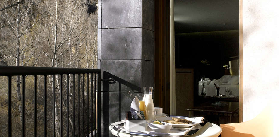 Hotel Aneto - 