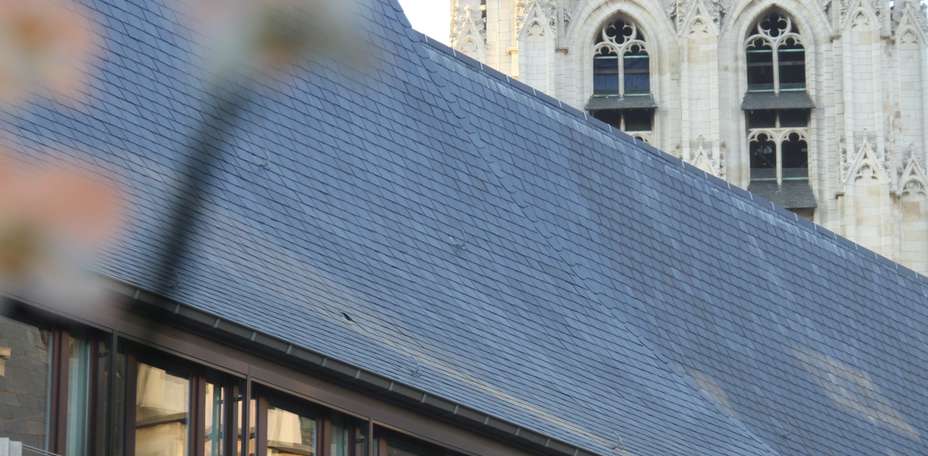 Sandton Hotel Brussels City Center - 