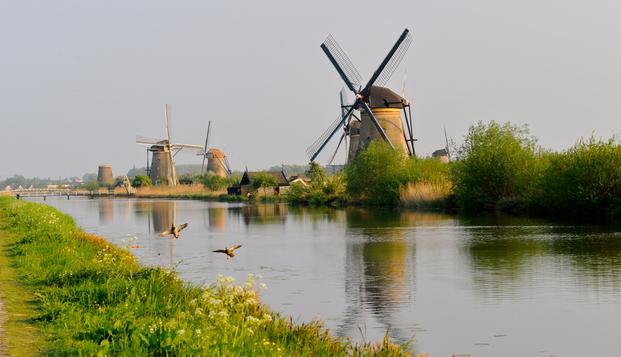 hotel Hotel ARAZwijndrecht