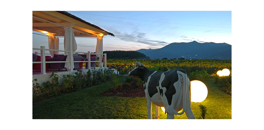 Calamidoro Hotel - 