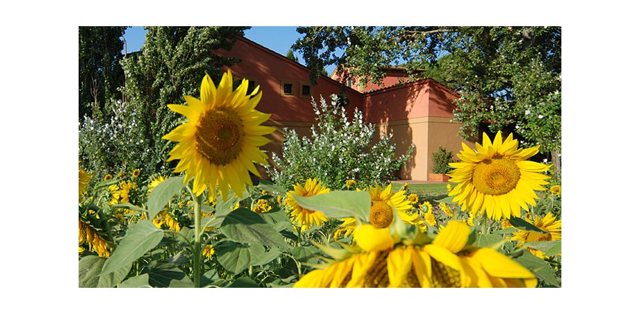 Calamidoro Hotel - 