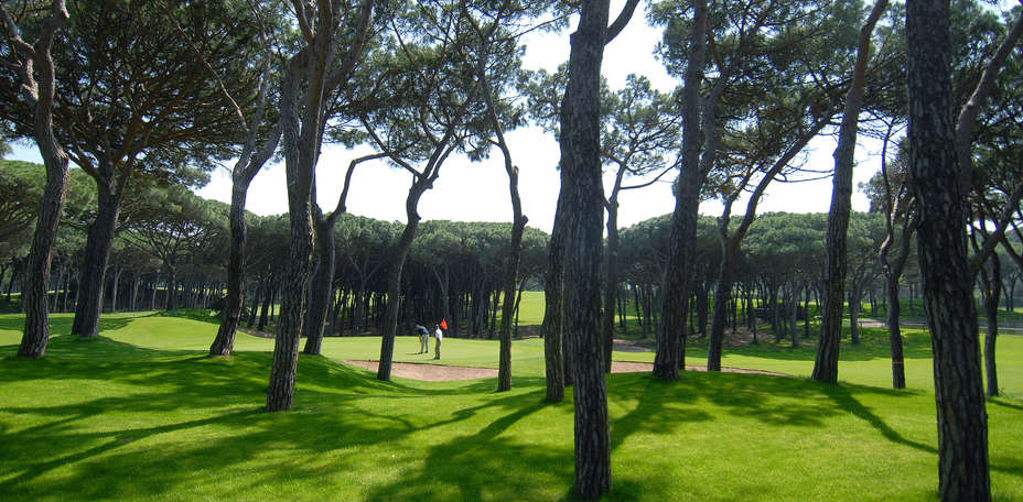Hotel La Costa Golf & Beach Resort - 