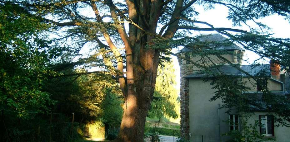 Castel des Cèdres - Paysage