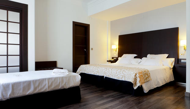 hotel Hotel GuadalupeGranada