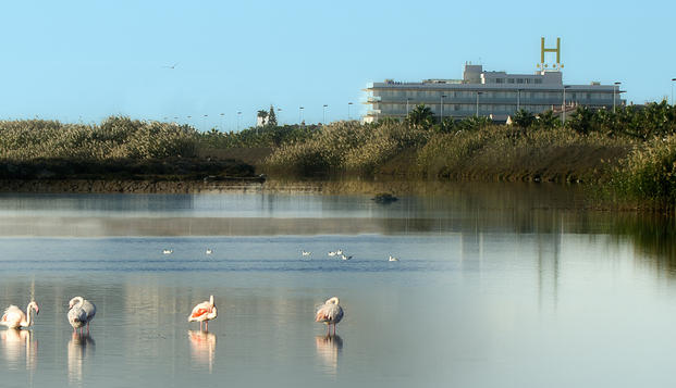 hotel Hotel Lodomar ThalassoSan Pedro del Pinatar