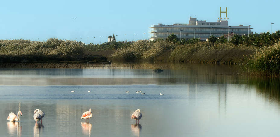 Hotel Lodomar **** Spa & Talasoterapia - 