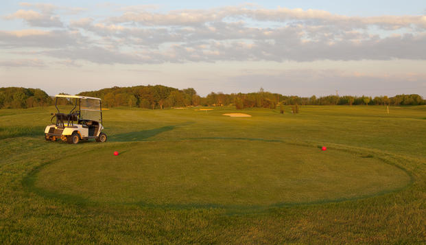 hotel Domaine & Golf du RoncemayAillant-sur-Tholon (89)