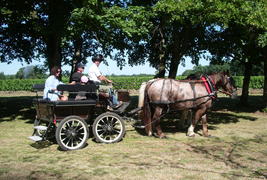Domaine des Vignères - 