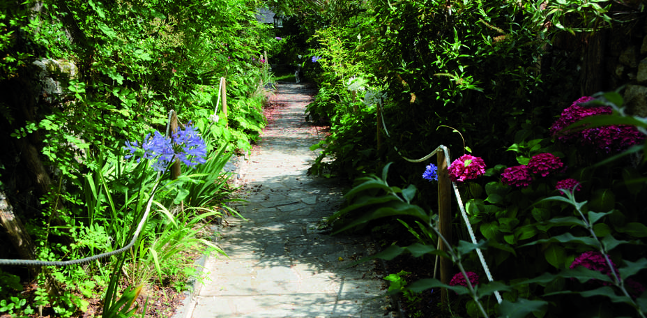 Le Chemin des Iles - 